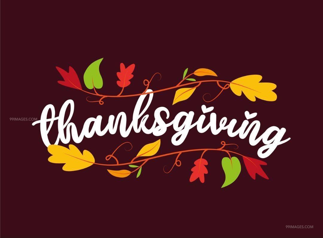 1080x796 [28th November 2019] Beautiful Happy Thanksgiving Day
