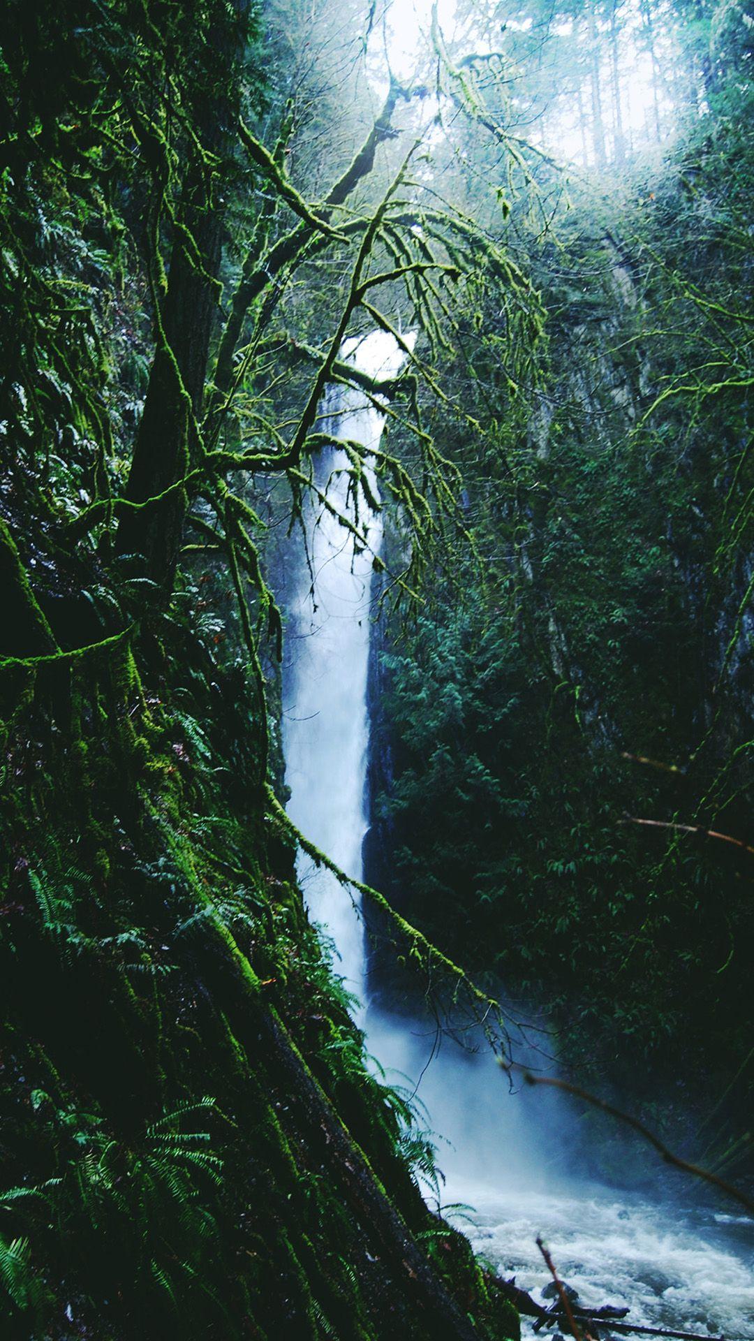 1080x1920 The iPhone Wallpaper Rainforest waterfall