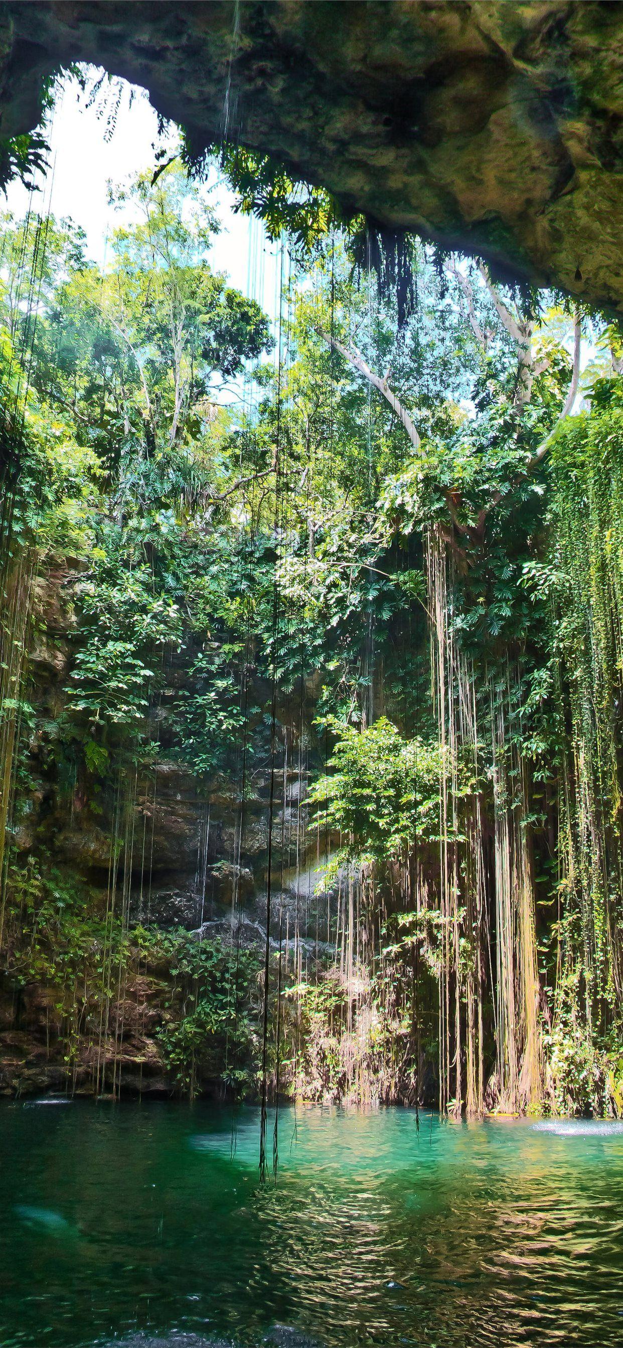 1242x2688 Ik Kil Cenote iPhone X Wallpaper Free Download