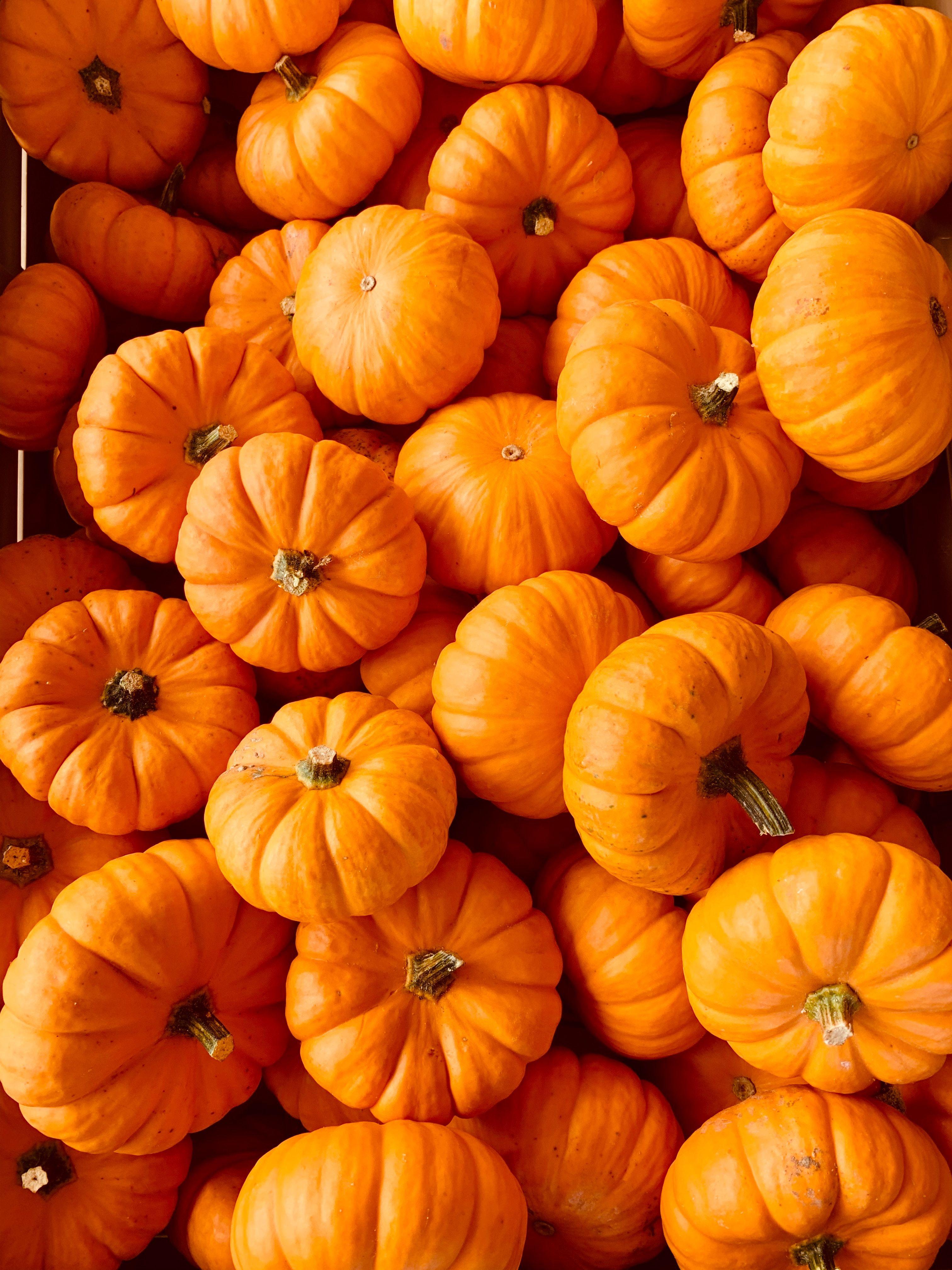 3024x4032 Fall Picture. Download Free Image