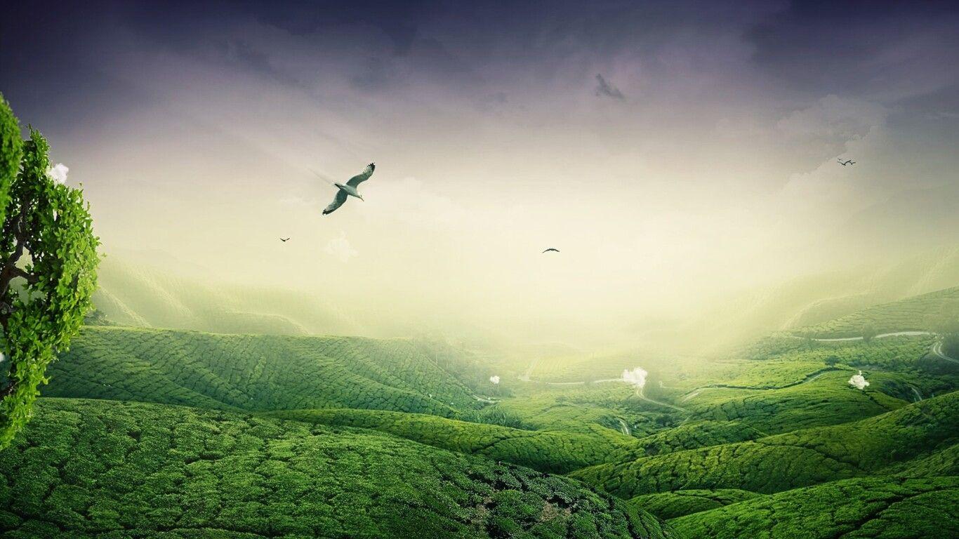 1366x768 Green Landscape 1366x768 Resolution HD 4k Wallpaper