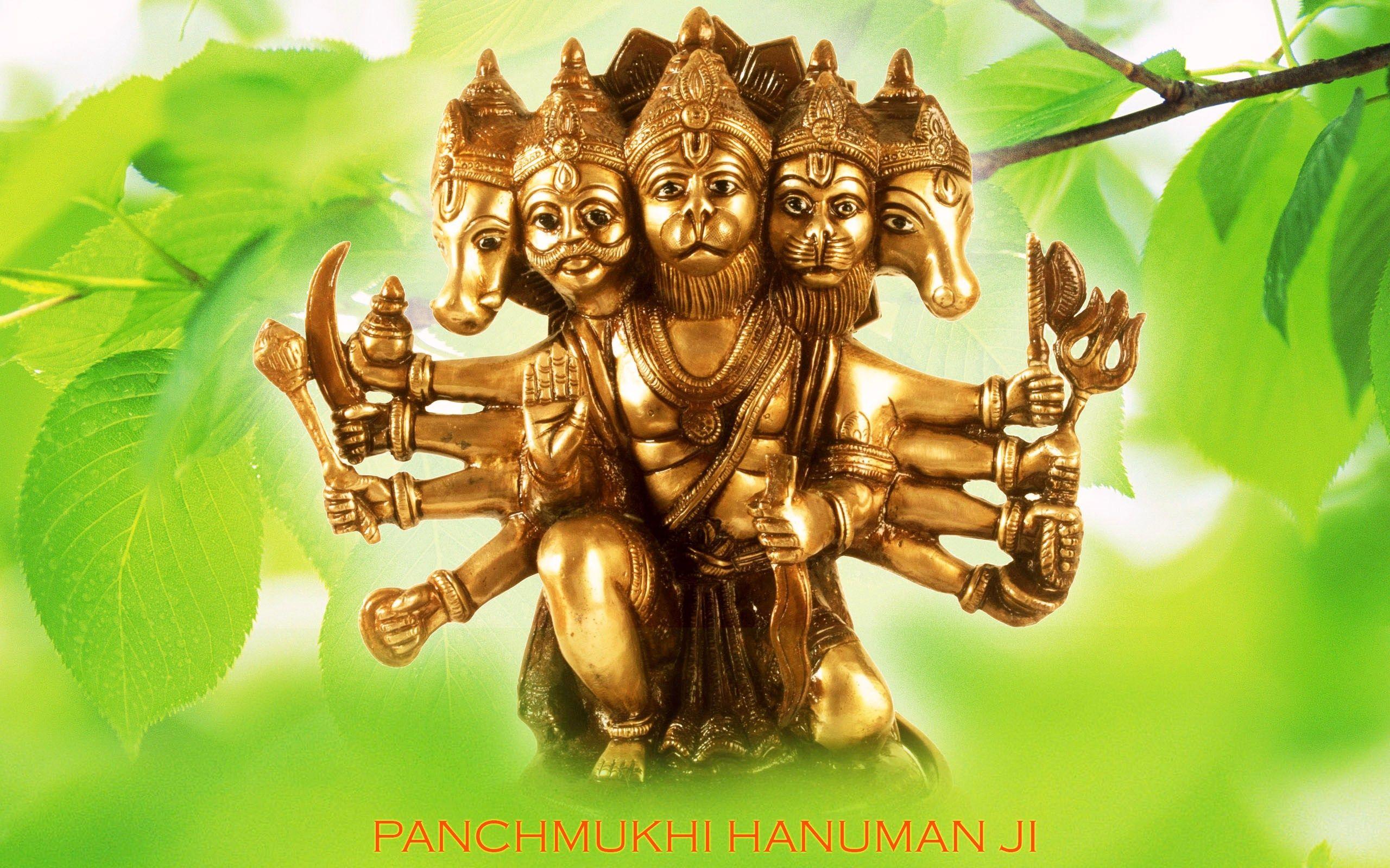 Best of Panchmukhi Hanuman Wallpapers -2560x1600 Panchmukhi Hanuman Wallpaper