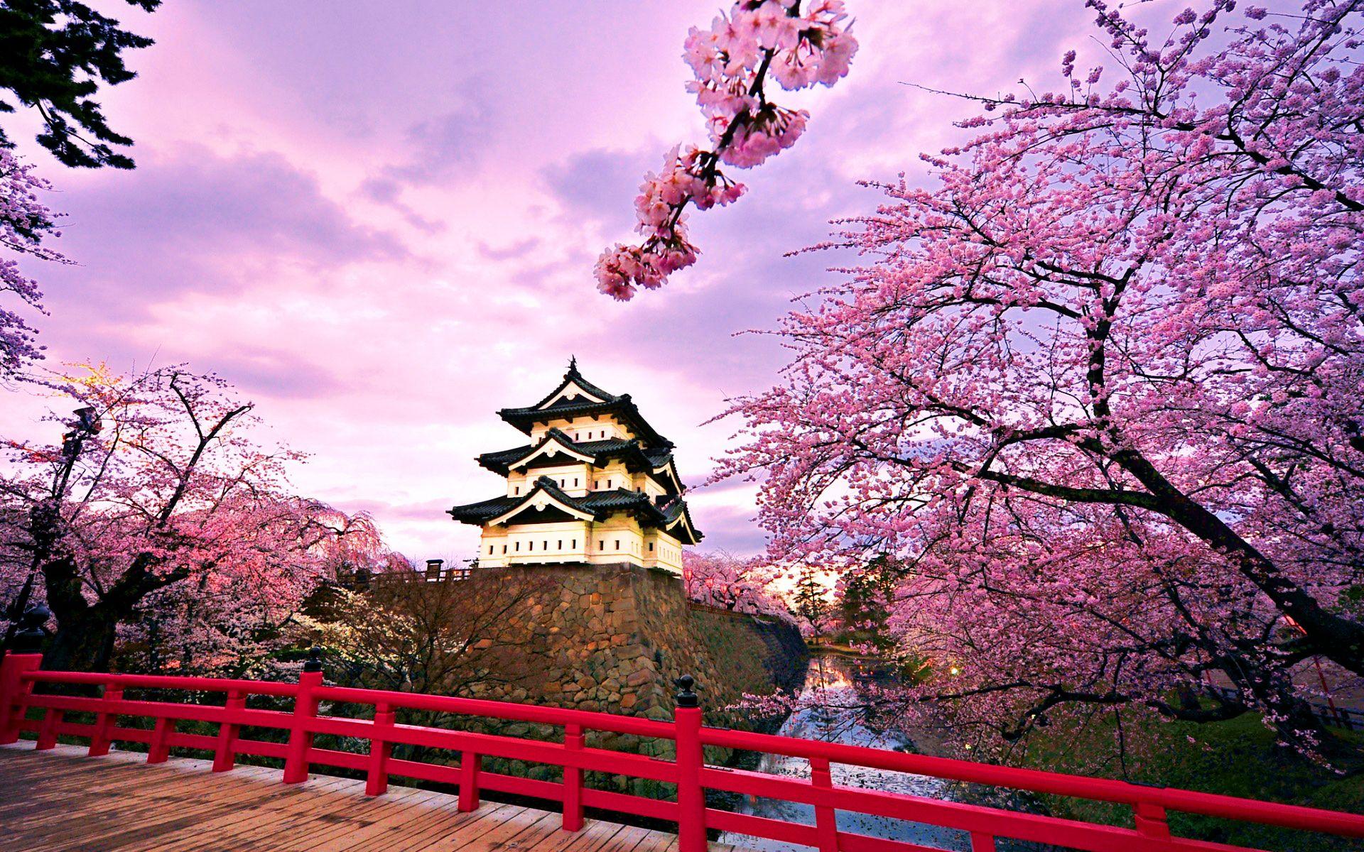 1920x1200 Osaka Wallpaper