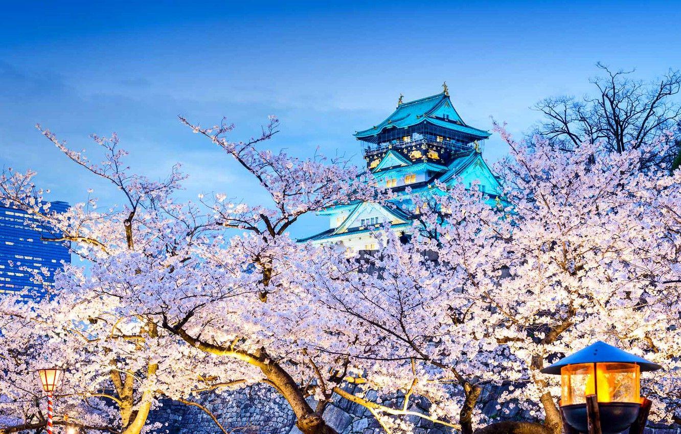 1332x850 Wallpaper house, spring, Japan, Sakura, temple, flowering, Osaka