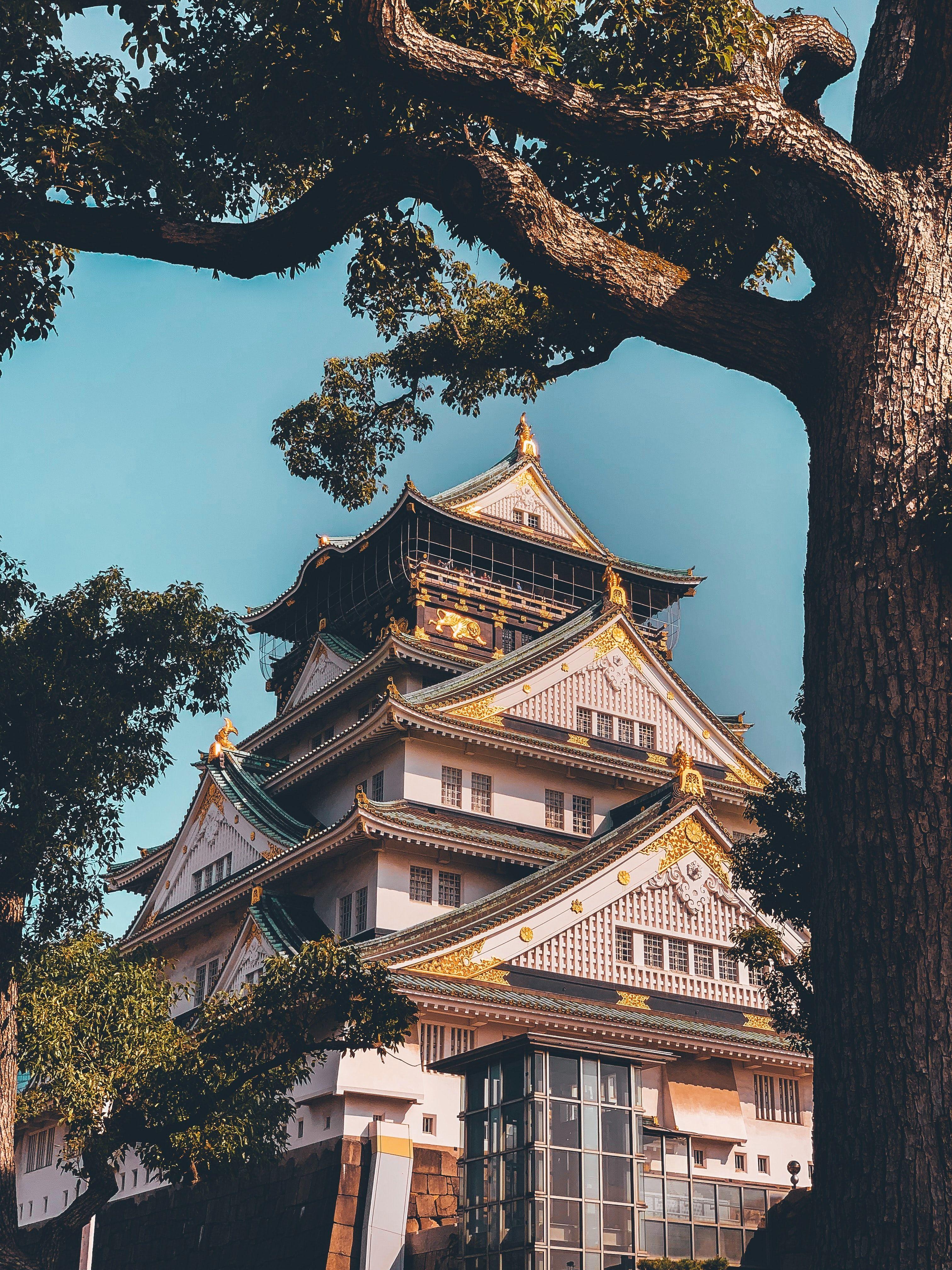 3024x4032 Osaka Castle Picture. Download Free Image