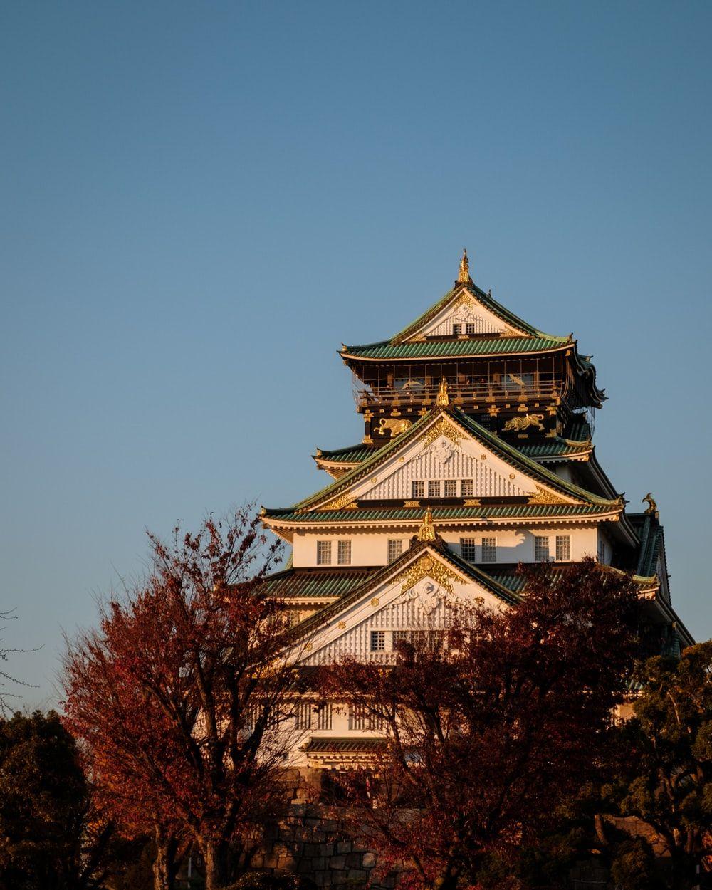 1000x1250 white and green temple beside trees during day photo