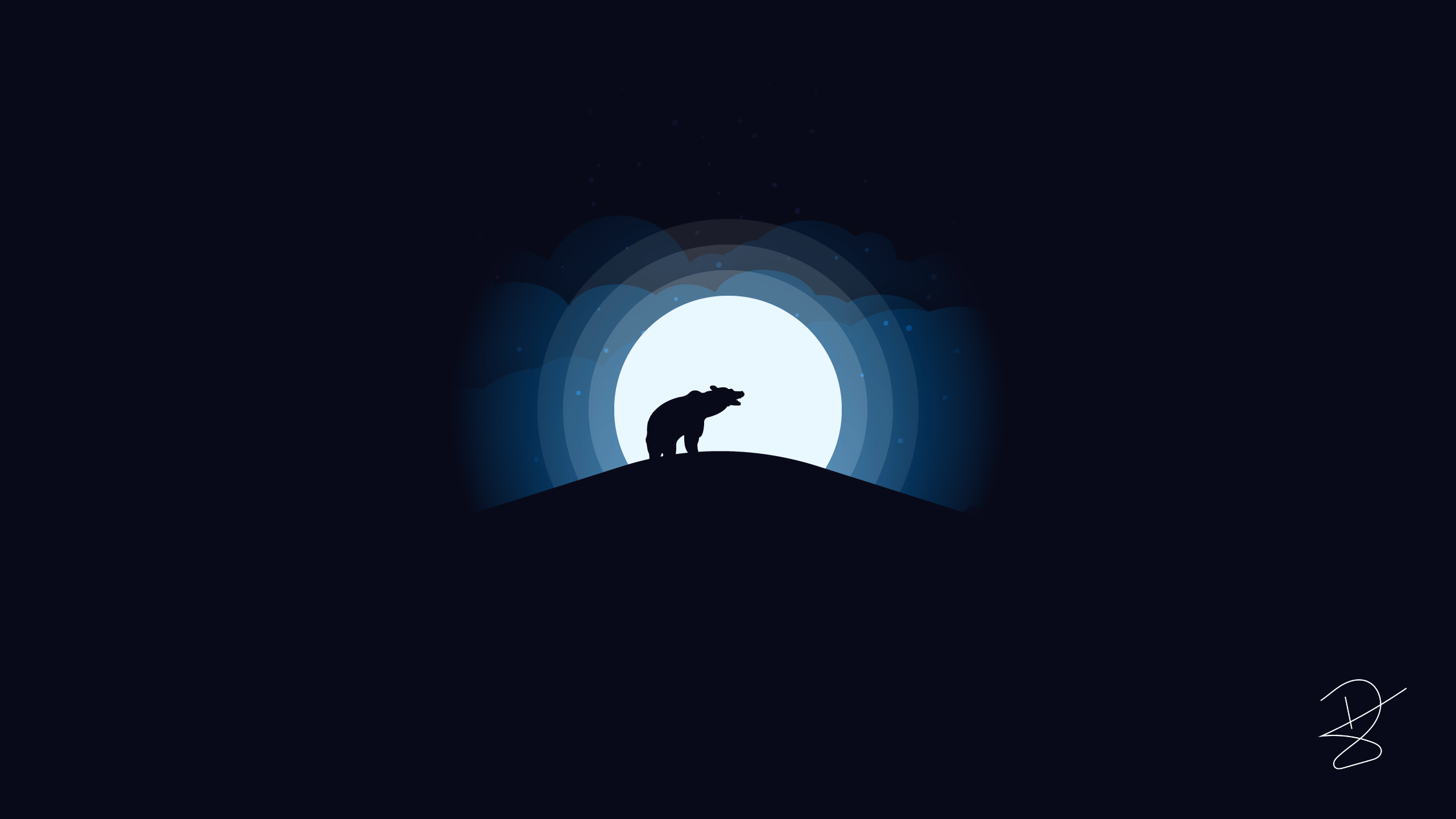 2560x1440 Bear Desktop Wallpaper