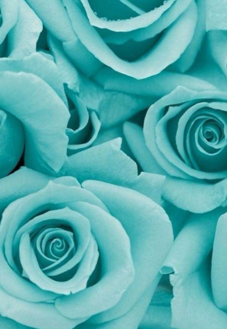 Turquoise Flower Wallpapers - Top Free Turquoise Flower Backgrounds - WallpaperAccess
