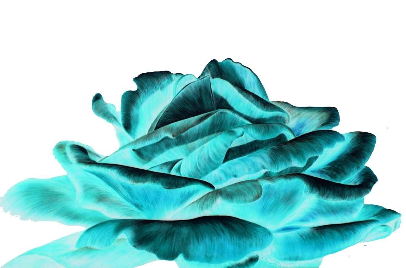 Turquoise Flower Wallpapers - Top Free Turquoise Flower Backgrounds ...