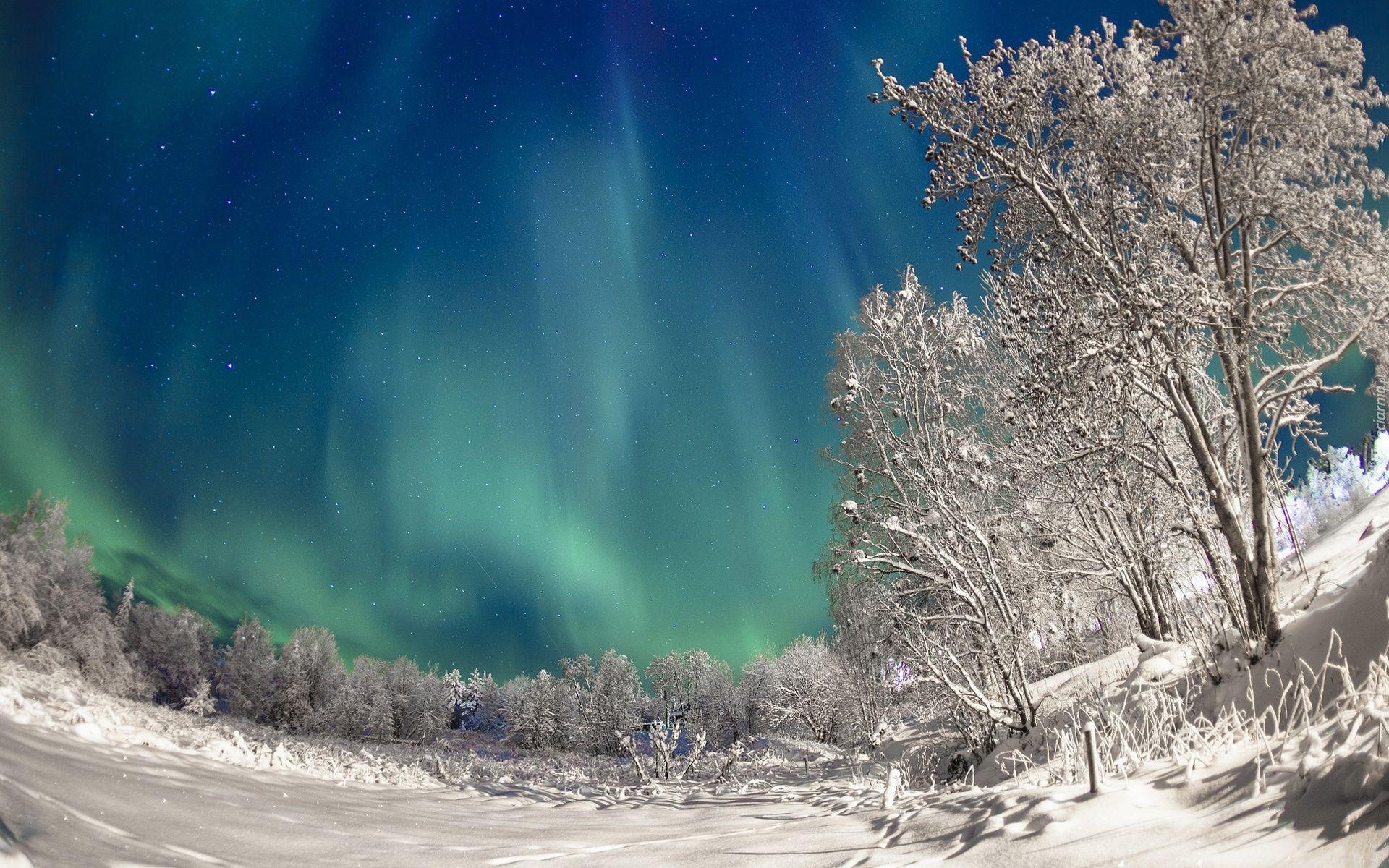 1920x1200 Aurora Borealis Wallpaper [Wallpaper Wednesday]