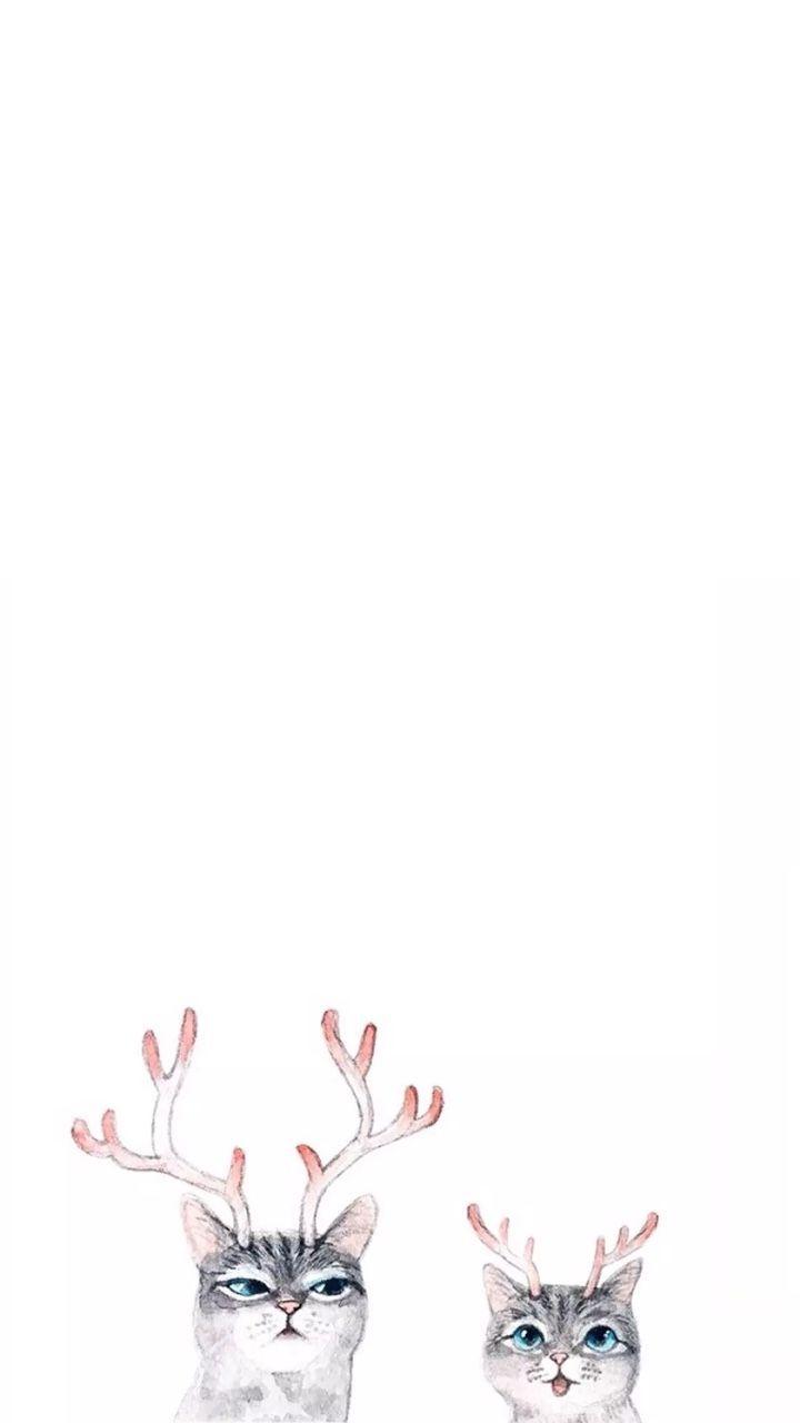 720x1280 Free Hipster Cat Wallpaper High Resolution at Wildlife Monodomo