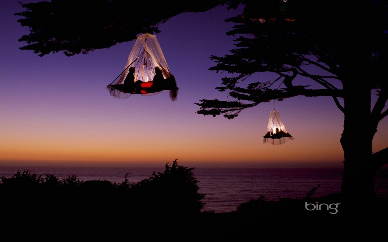 1600x1000 Bing. Tree camping, Tree tent, Hanging tent