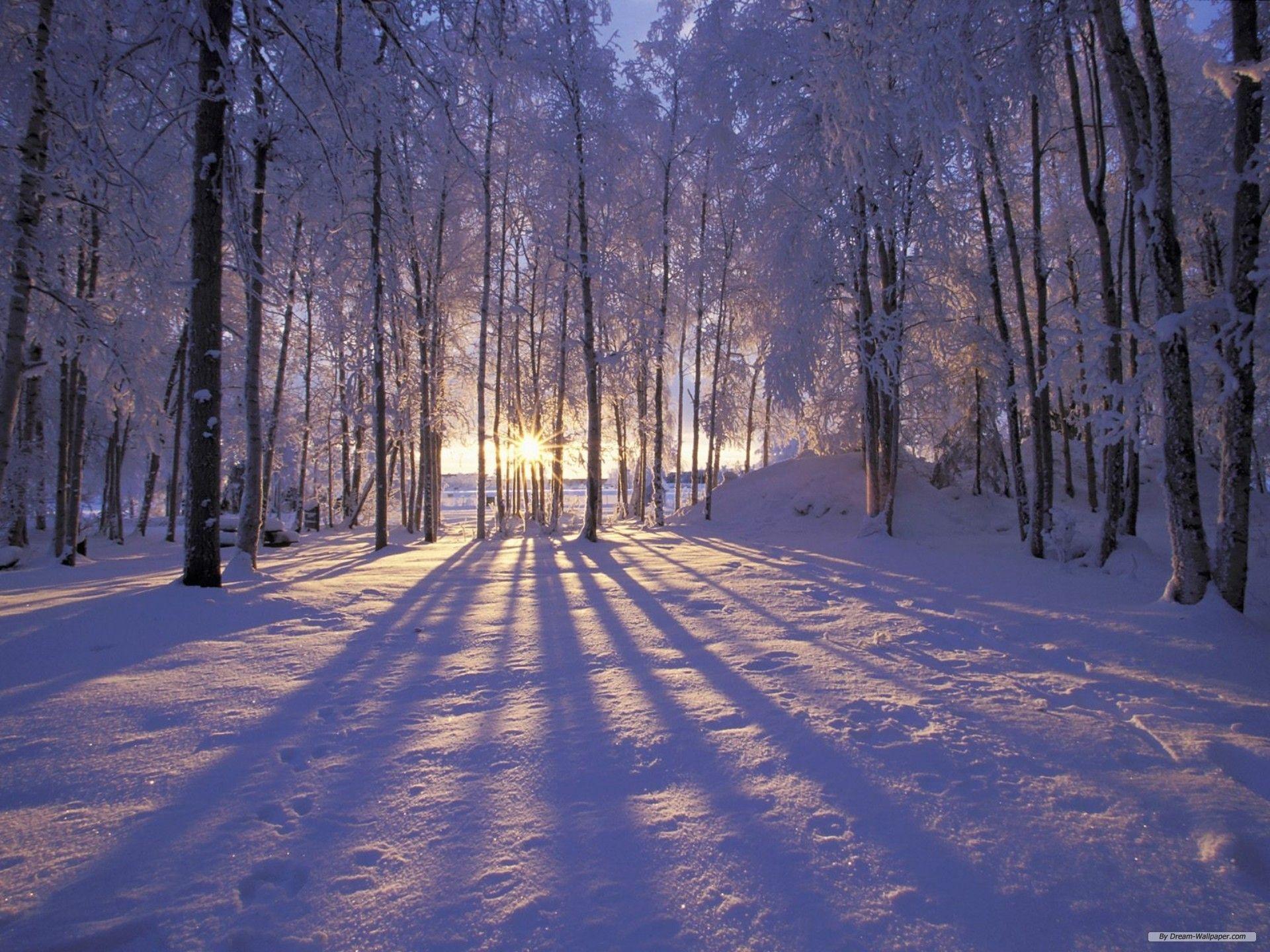 1920x1440 HD Hình nền Winter Wonderland