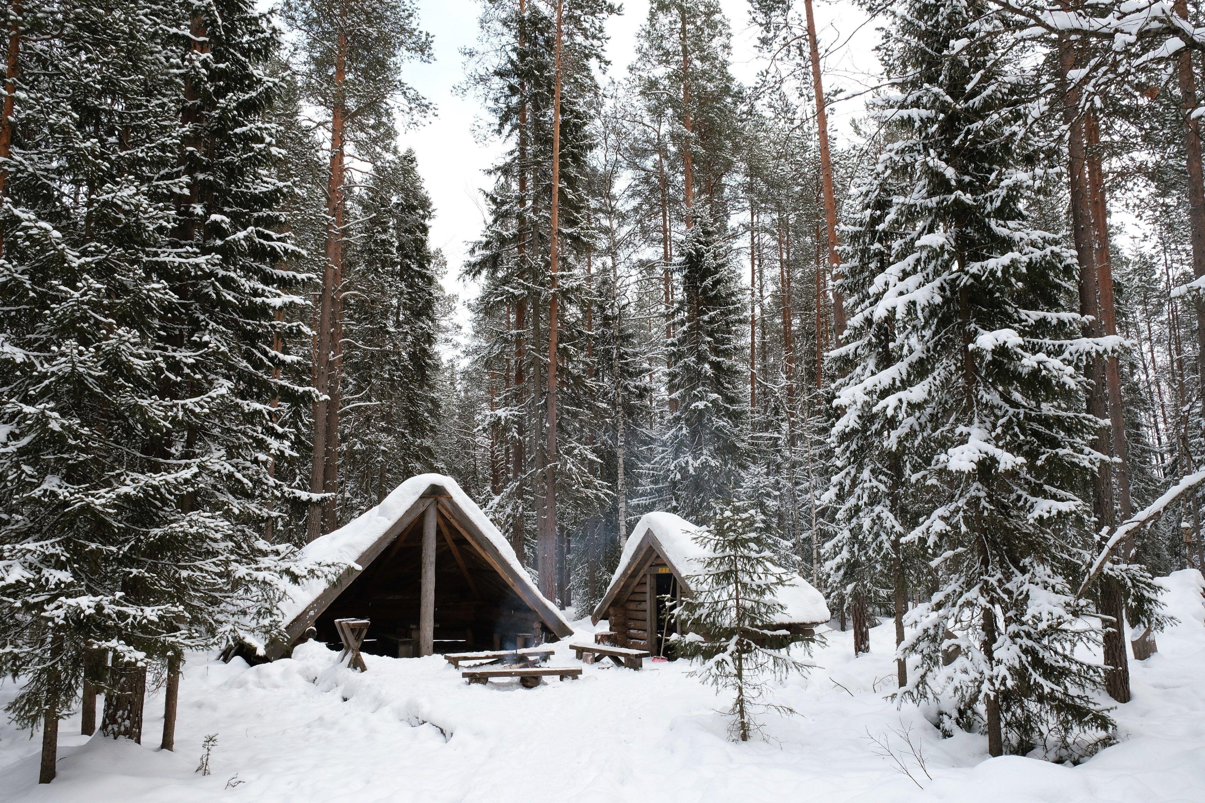 3840x2559 nhìn vào các cabin nhỏ bên trong một khu rừng ở rovaniemi trong