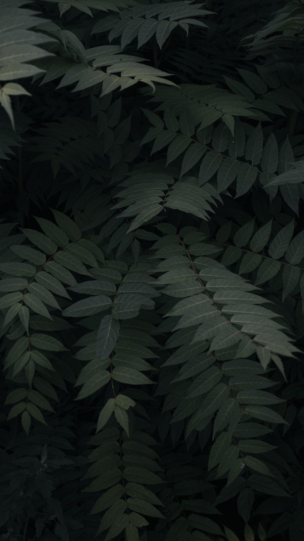 1000x1778 iPhone XS Max Wallpaper: Free HD Download [HQ]