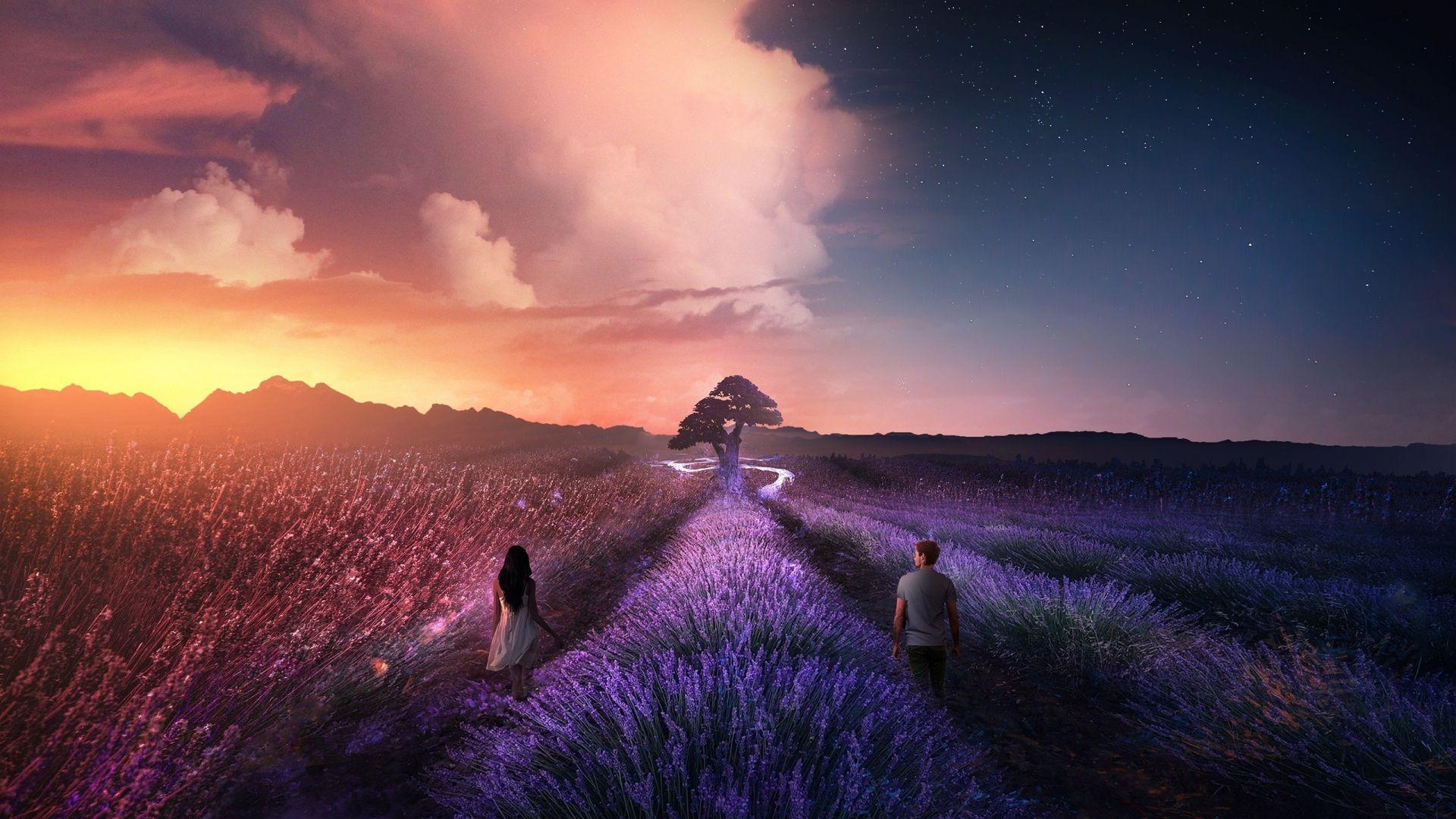 1920x1080 Download 1920x1080 wallpaper couple, lilac farm, landscape