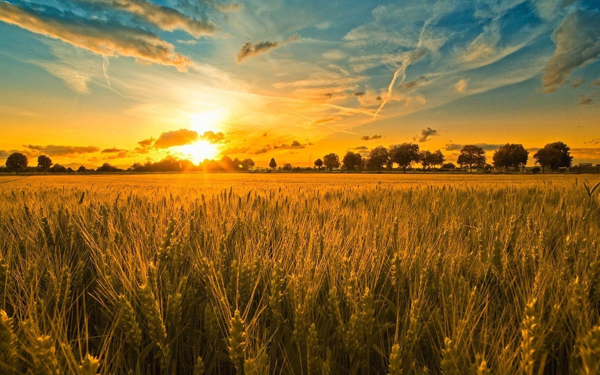 1920x1200 Farm Wallpaper