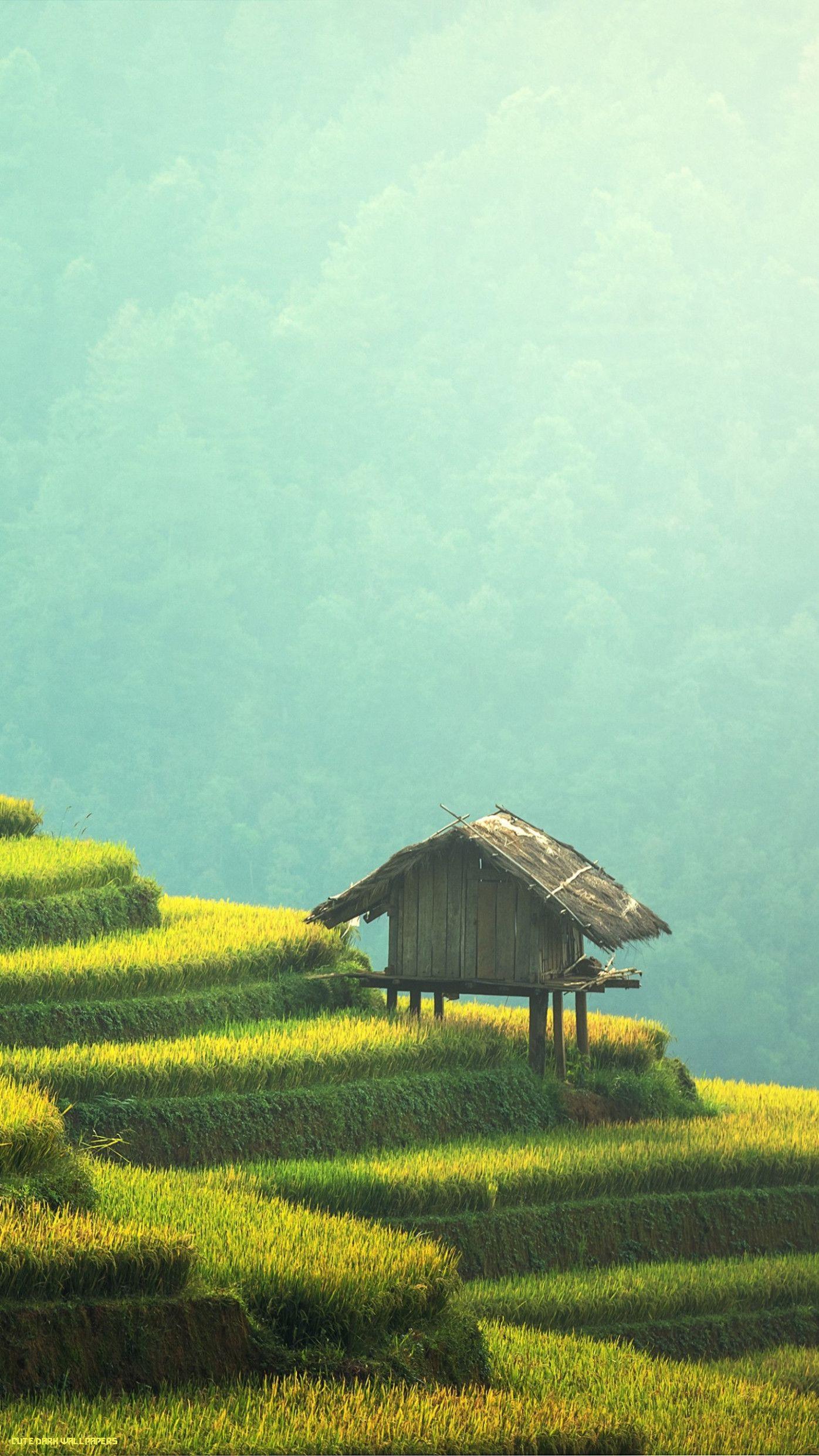 1396x2483 Wallpaper Terrace farming, Agriculture, 5K, Photography