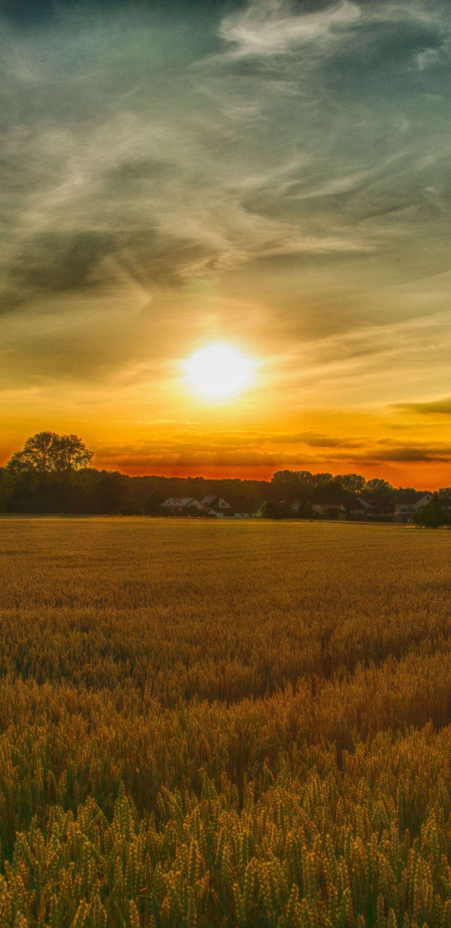 1440x2960 Download 1440x2960 wallpaper summer, sunset, farm, landscape