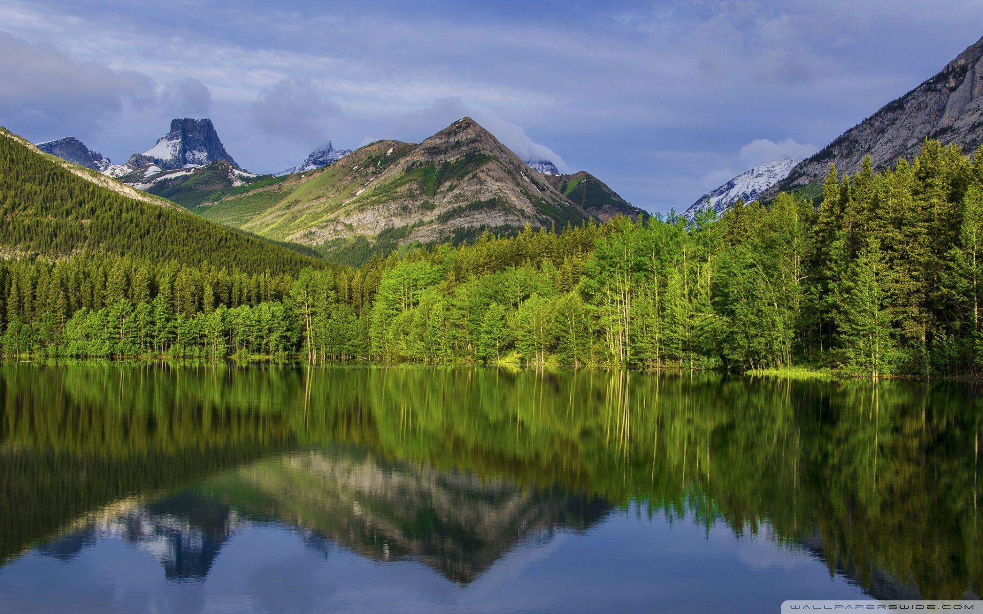 Mountain Forest HD Wallpapers - Top Free Mountain Forest HD Backgrounds ...