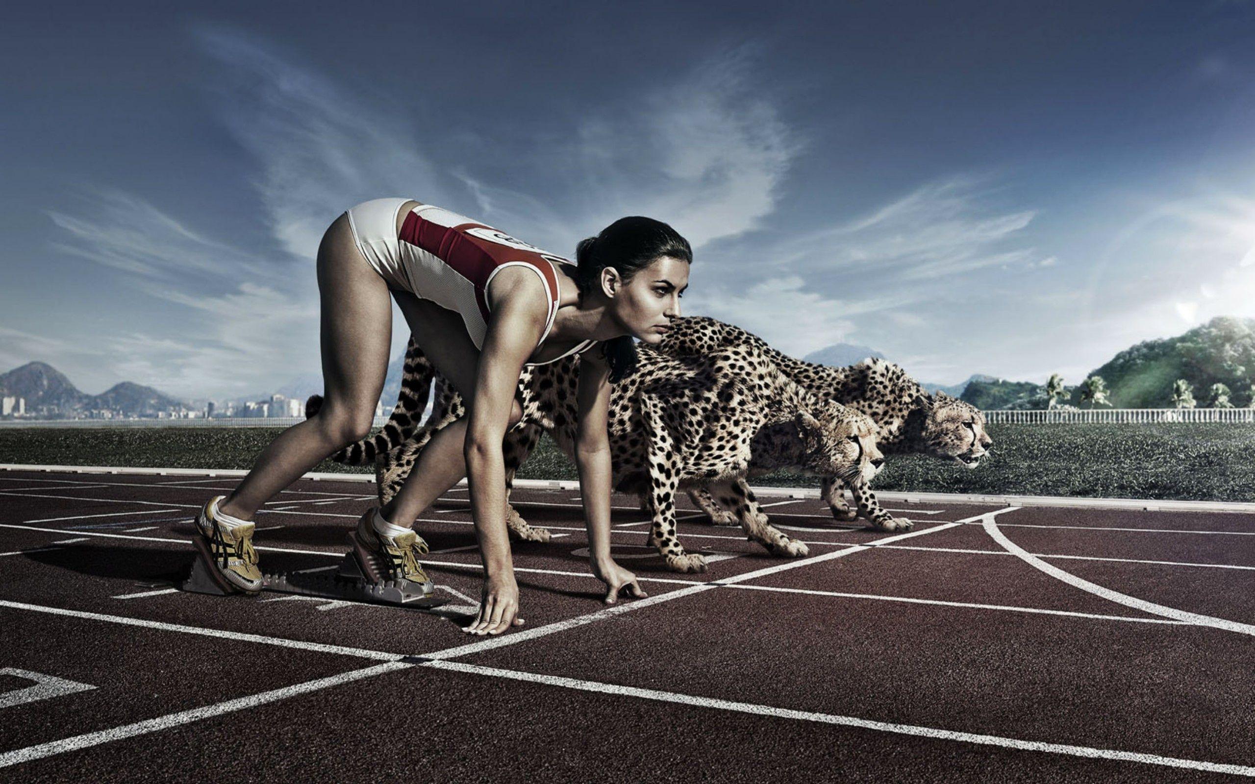 2560x1600 Download Wallpaper leopard, 2560x Extremely Competitive