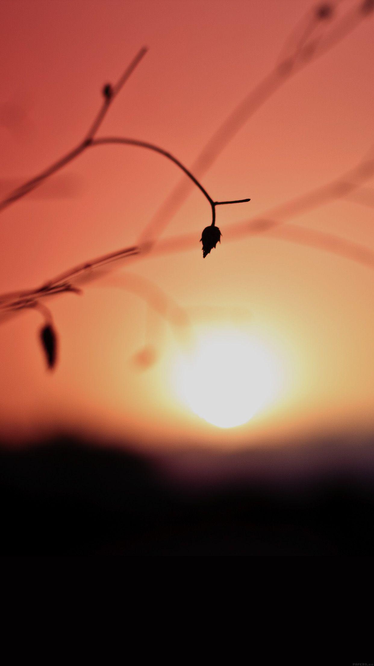 1242x2208 Sunset Aesthetic Wallpaper