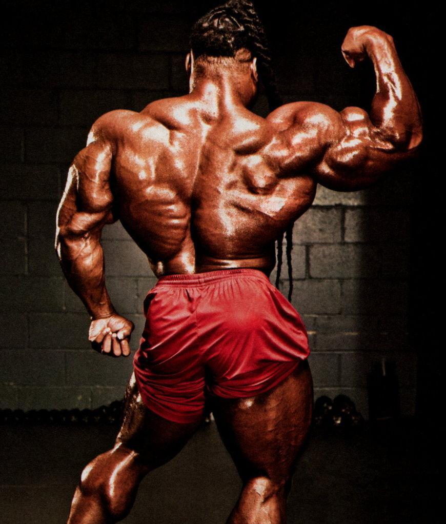 870x1022 Free download Kai Greene Wallpaper HD [870x1022] for your Desktop, Mobile & Tablet. Explore Kai Greene Wallpaper. Kai Greene Wallpaper, Ashley Greene Wallpaper, Lizzy Elizabeth Greene Wallpaper