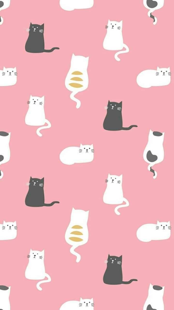 Cute Cat Pattern Wallpapers - Top Free Cute Cat Pattern Backgrounds ...