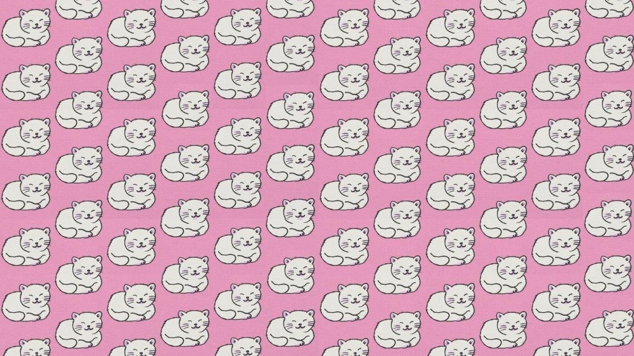 1244x700 Textures Texture cute cat wallpaperx1080
