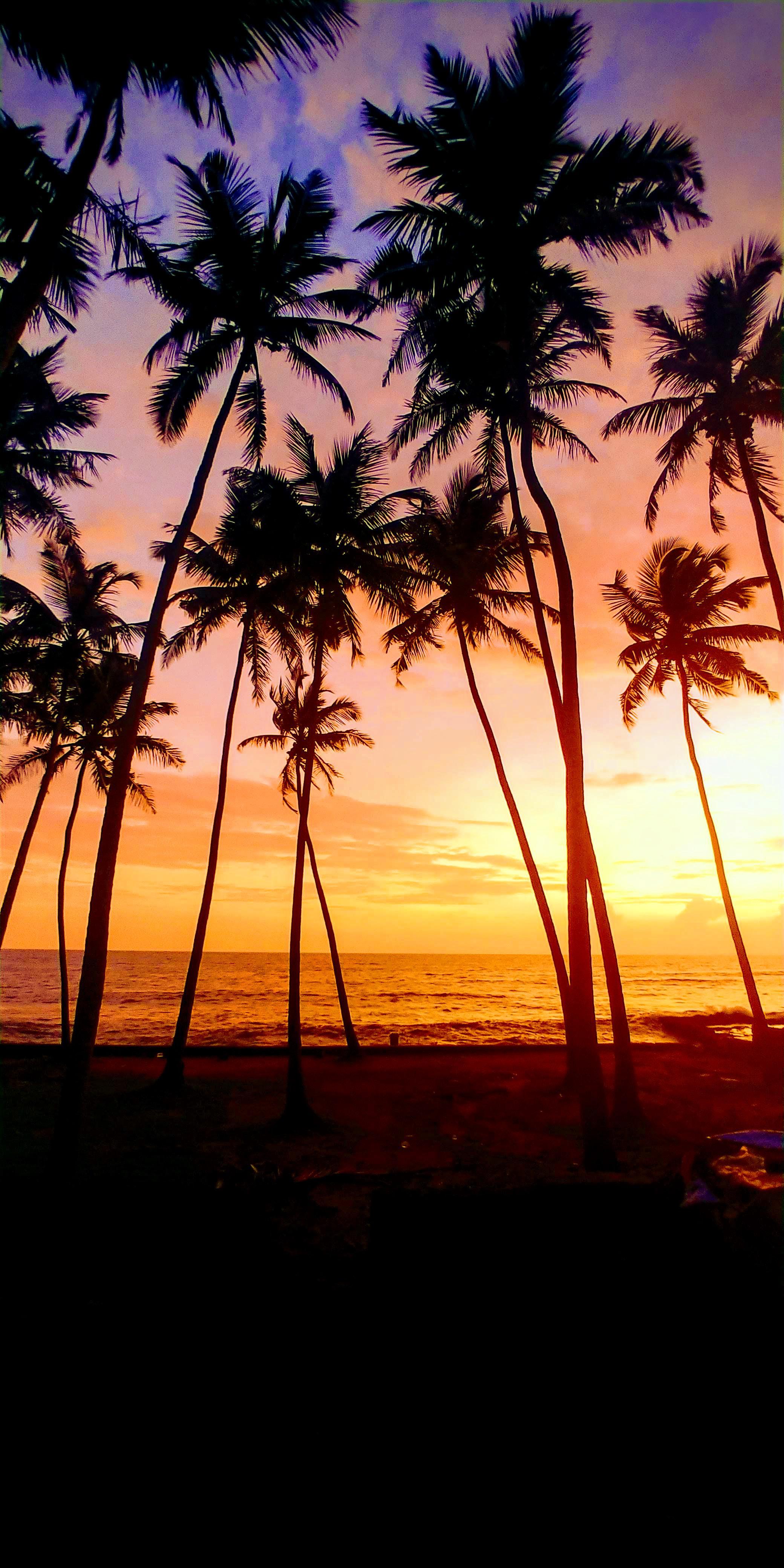 2080x4160 Sunset Wallpaper Beach Goa (2080 x 4160): MobileWallpaper