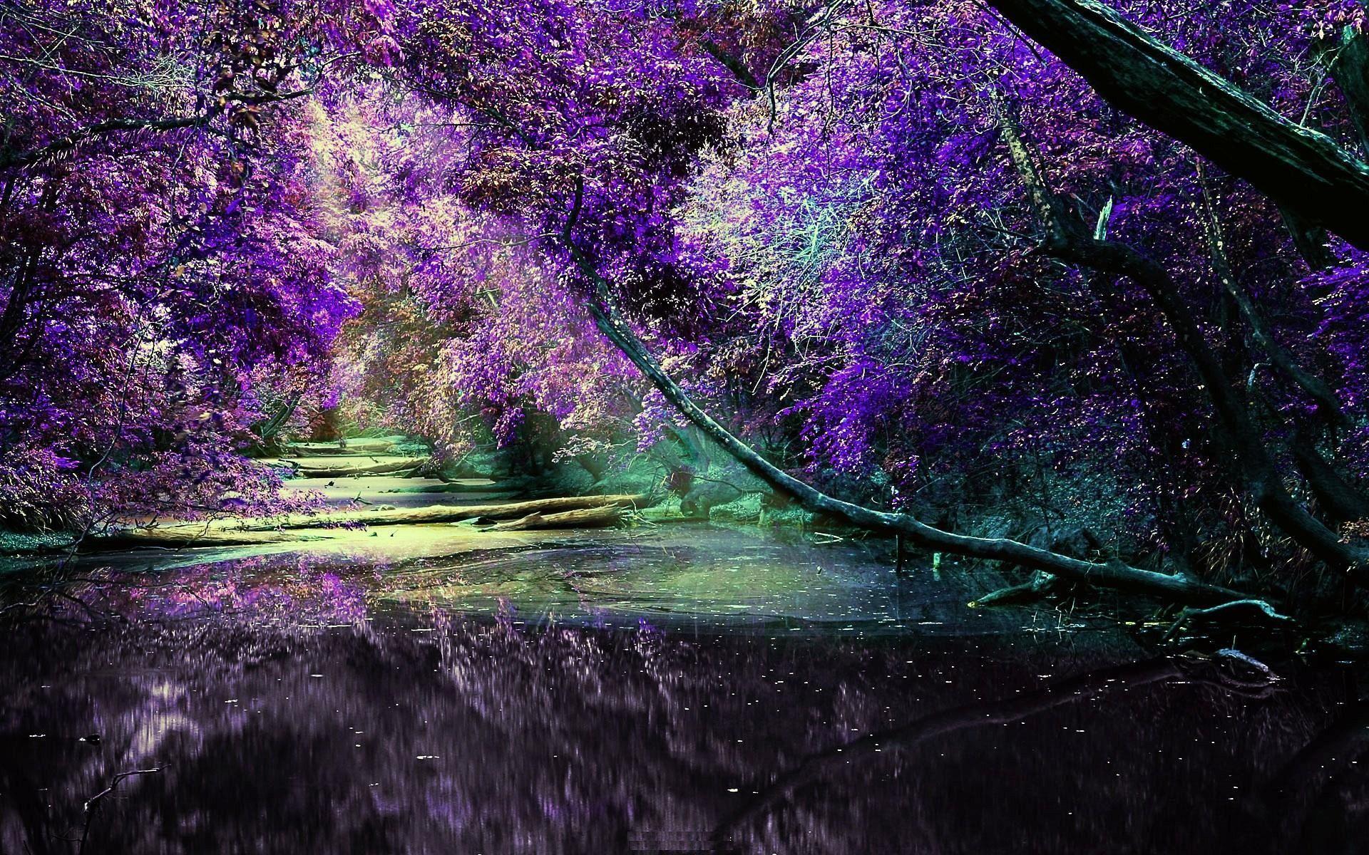 1920x1200 Free download Download Lilac Bushes HD Wallpaper absolutely