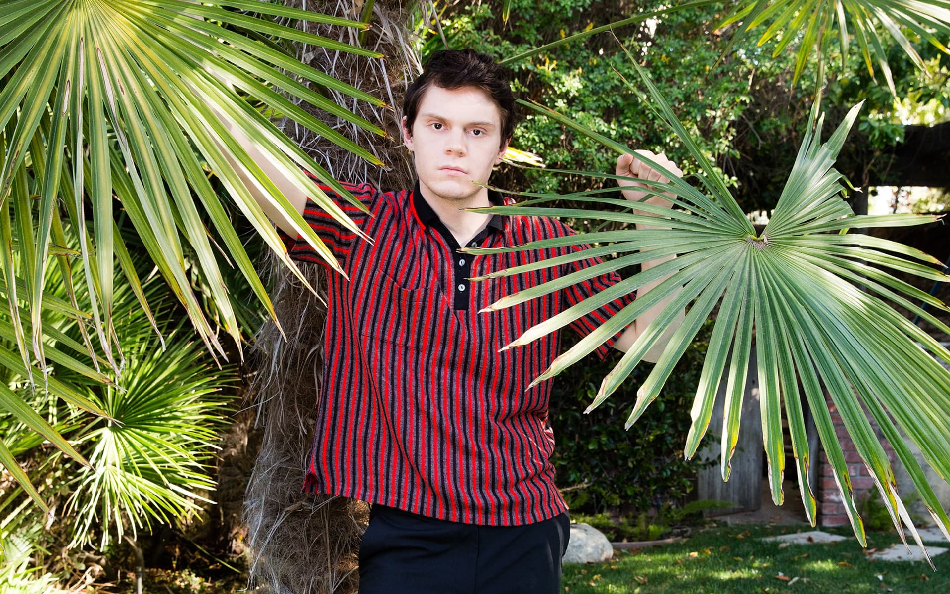 Evan Peters Desktop Wallpapers - Top Free Evan Peters Desktop