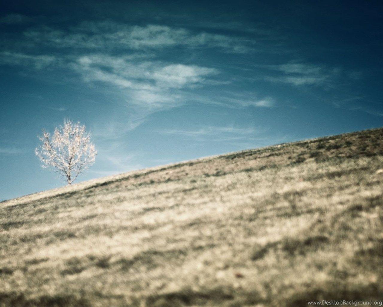 1280x1024 Theme Bin Blog Archive What Is Real HD Wallpaper Desktop