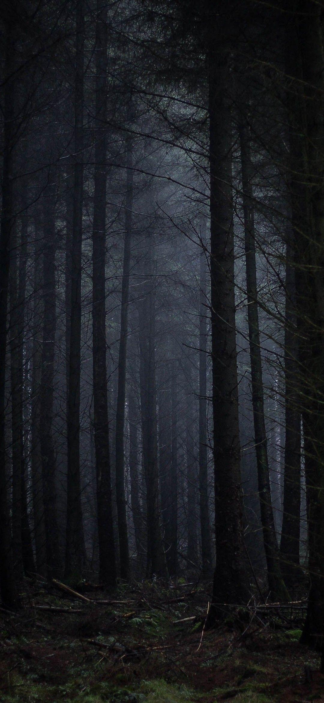 1080 X 2340 Dark Wallpapers - Top Free 1080 X 2340 Dark Backgrounds ...