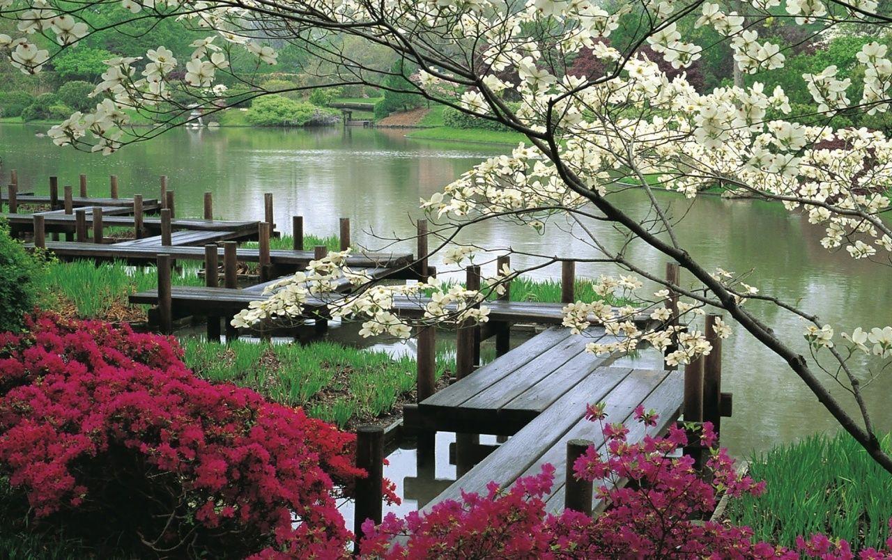 1280x804 Japanese Garden & Lake wallpaper. Japanese Garden & Lake stock