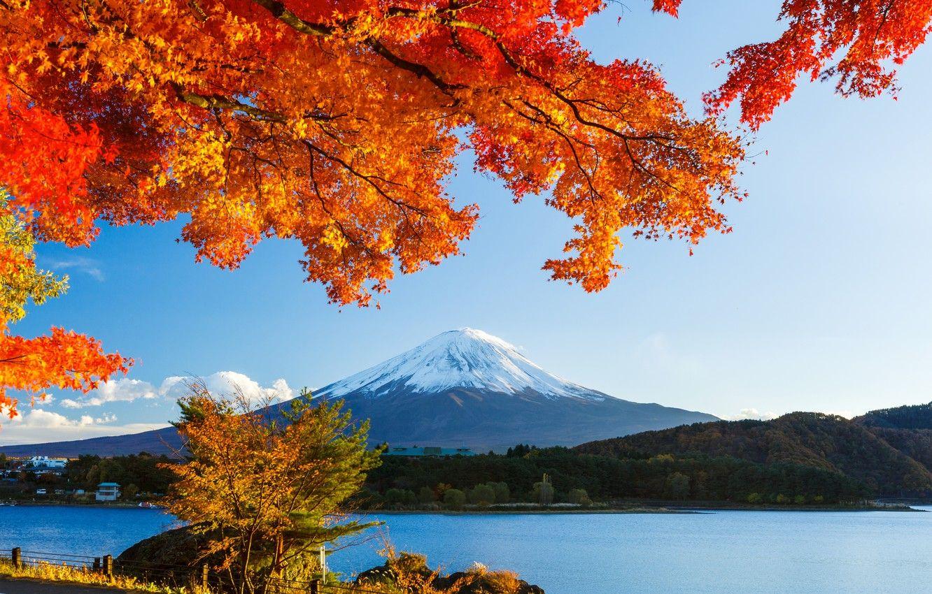1332x850 Wallpaper autumn, forest, the sky, leaves, snow, trees, lake