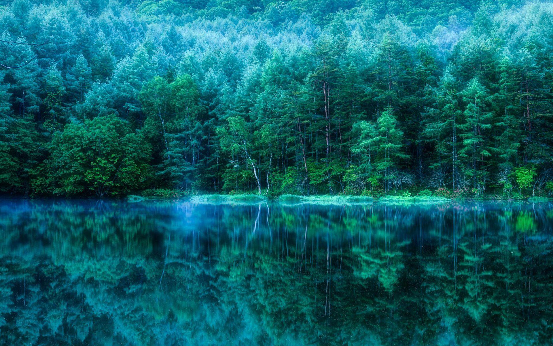 1920x1200 Green Japanese Wallpaper. Green