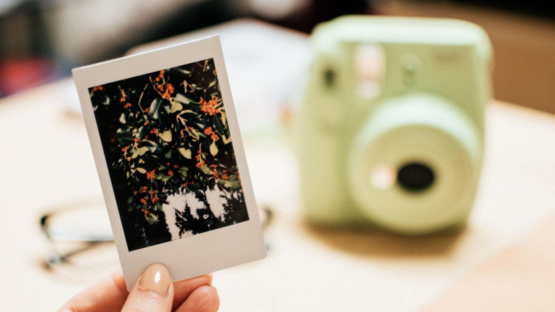 1920x1080 Person Holding Photo With Instant Polaroid Camera Free Transparent