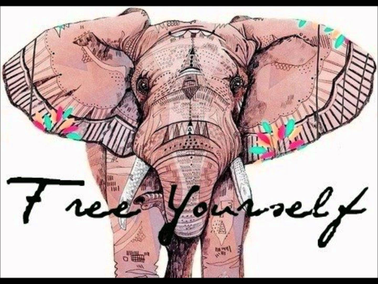 bohemian elephant background