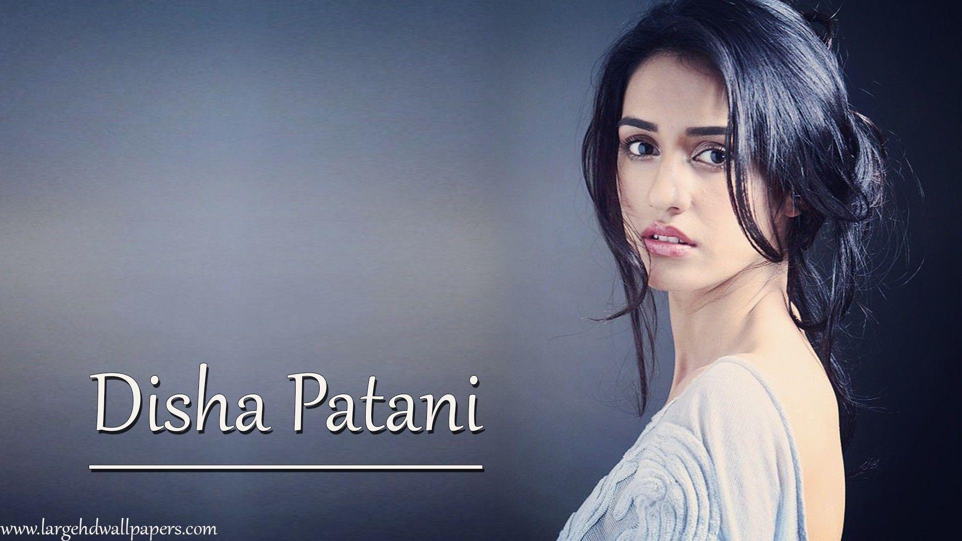 Disha Patani HD Wallpapers - Top Free Disha Patani HD Backgrounds