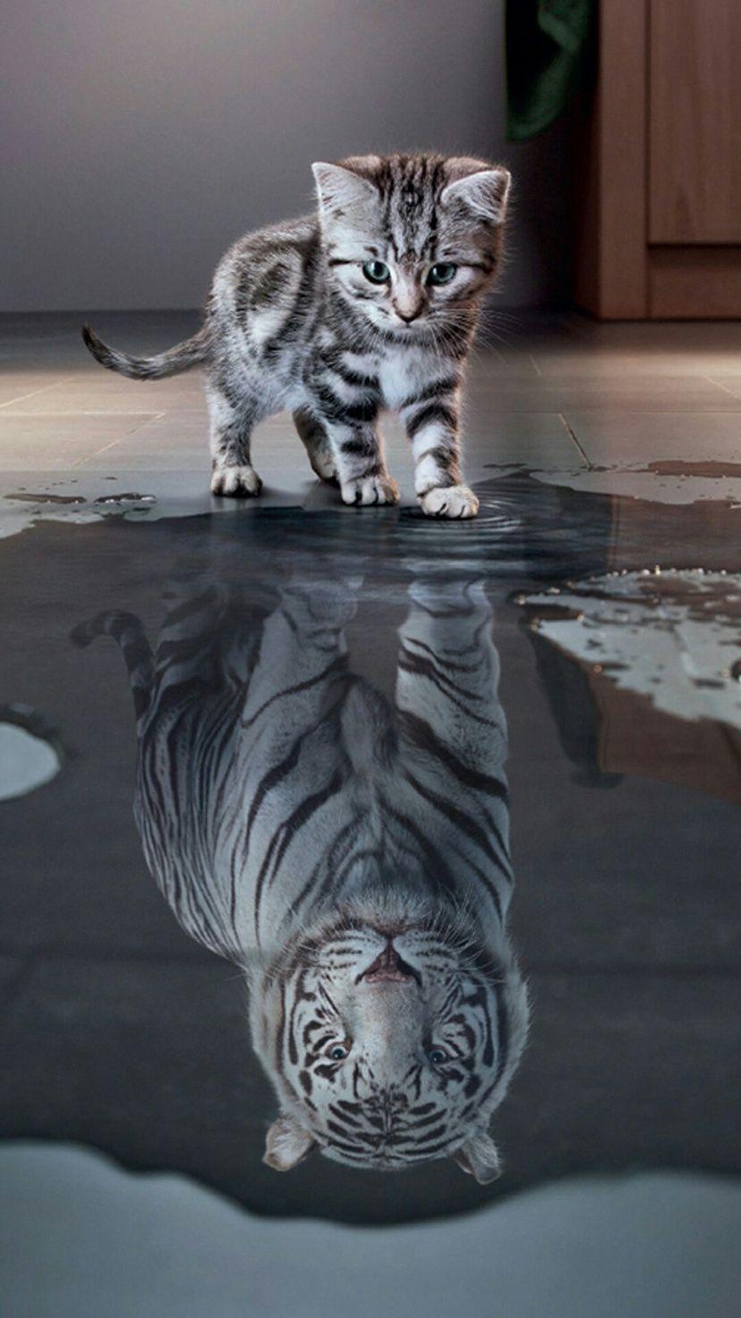 830x1476 Beautiful animals wallpaper for your Android