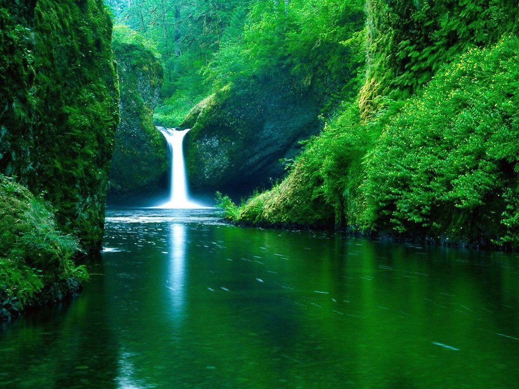 live nature wallpaper for windows 7