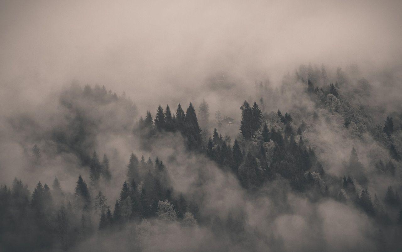 1280x804 Misty Wallpaper