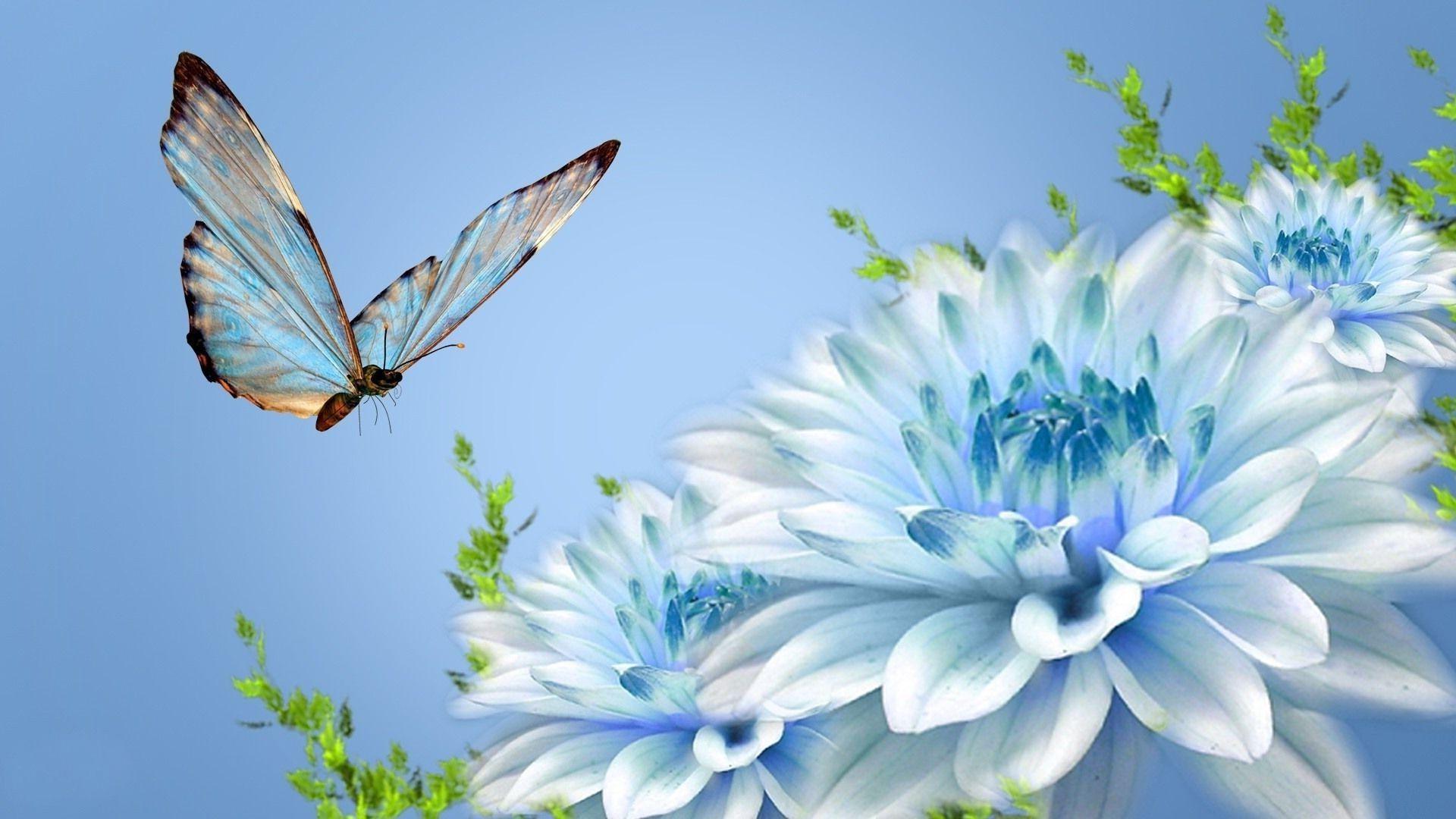 1920x1080 Animated Picture of Blue Flowers and Butterfly in HD 1080p
