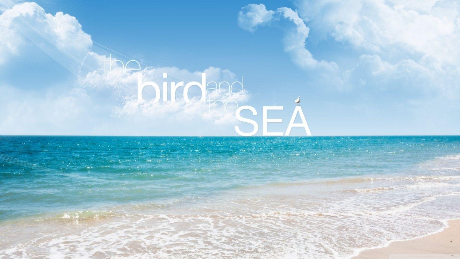1536x864 Free download quote Beach Wallpaper HD Desktop and Mobile