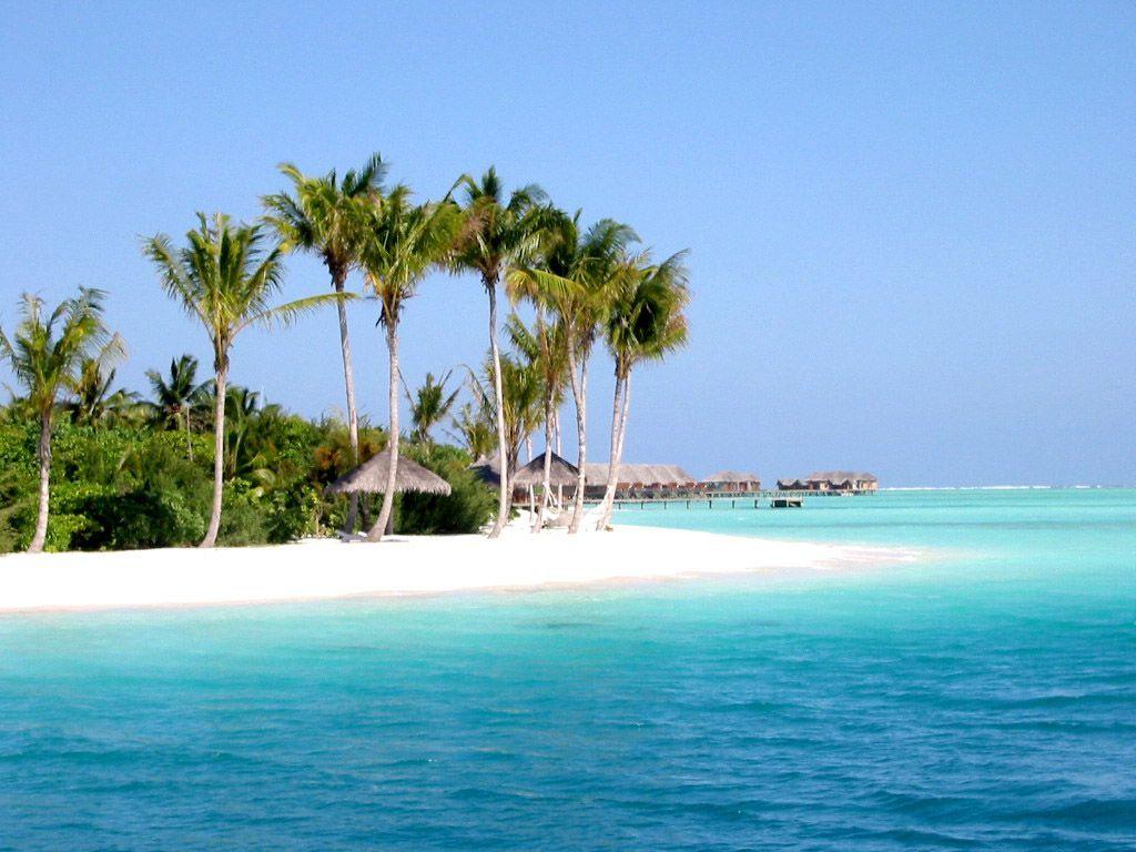 1024x768 Tropical Beach Quotes. QuotesGram