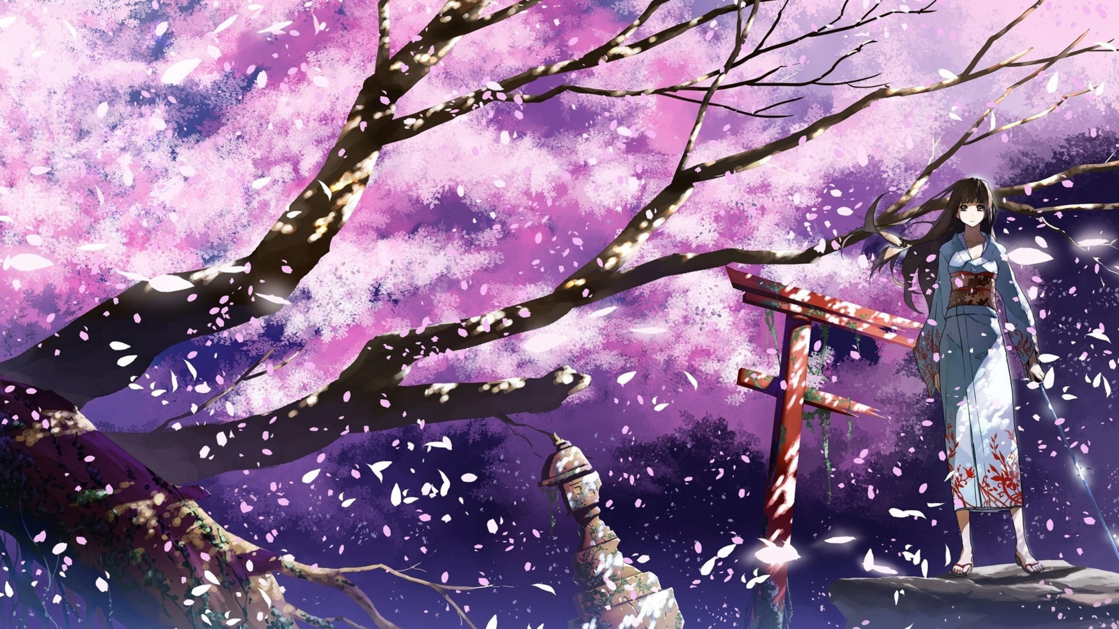 Anime Cherry Blossom 4K Wallpapers Top Free Anime Cherry Blossom 4K