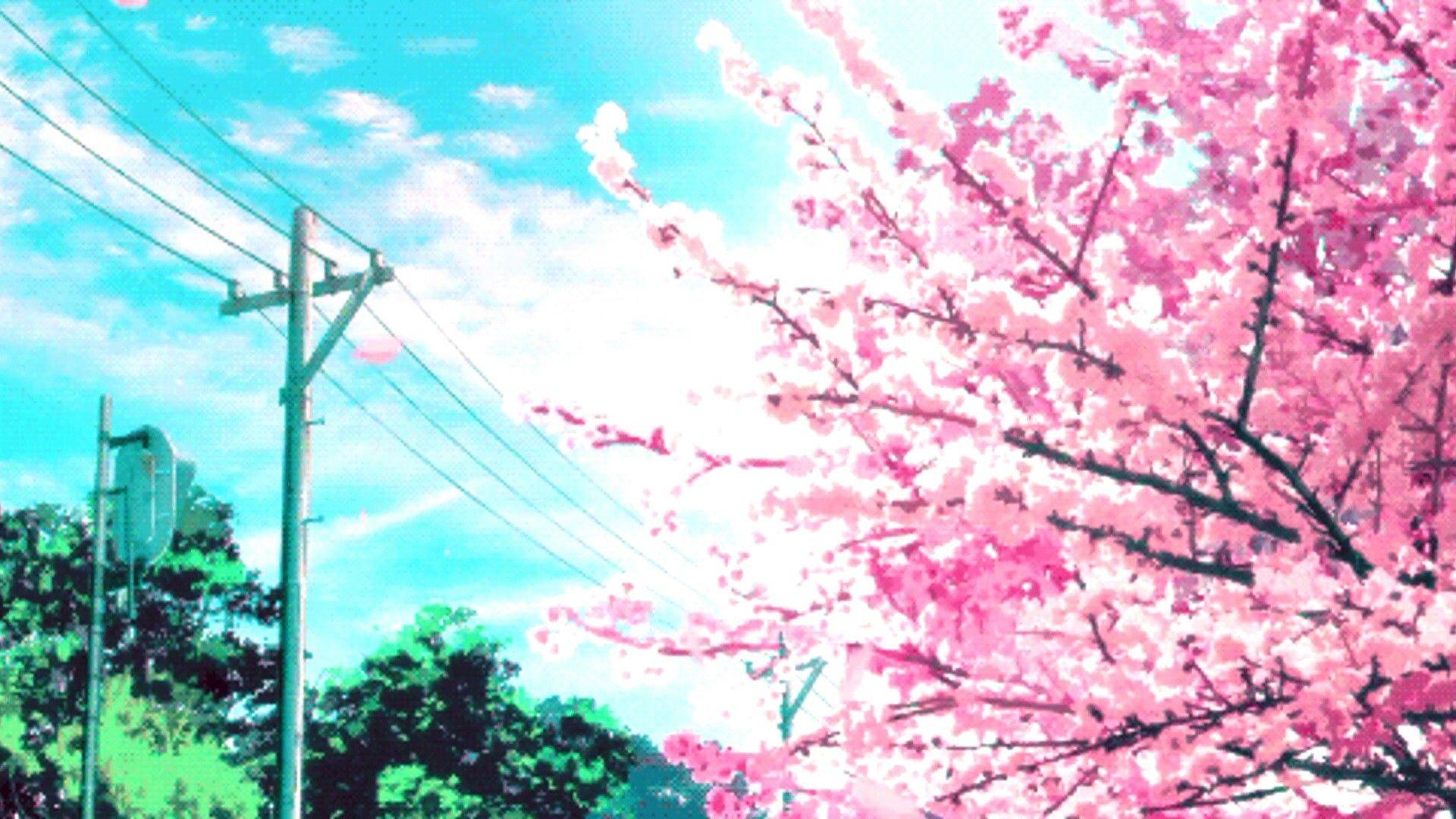 30 Anime Girl Phone Wallpaper Cherry Blossom Theme iPhone - Etsy