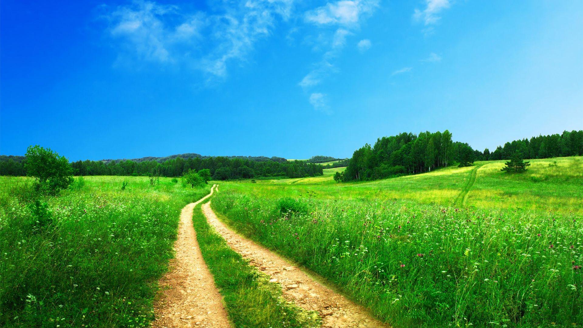 1920x1080 Wallpaper Path on the grass 1920x1200 HD Picture, Image