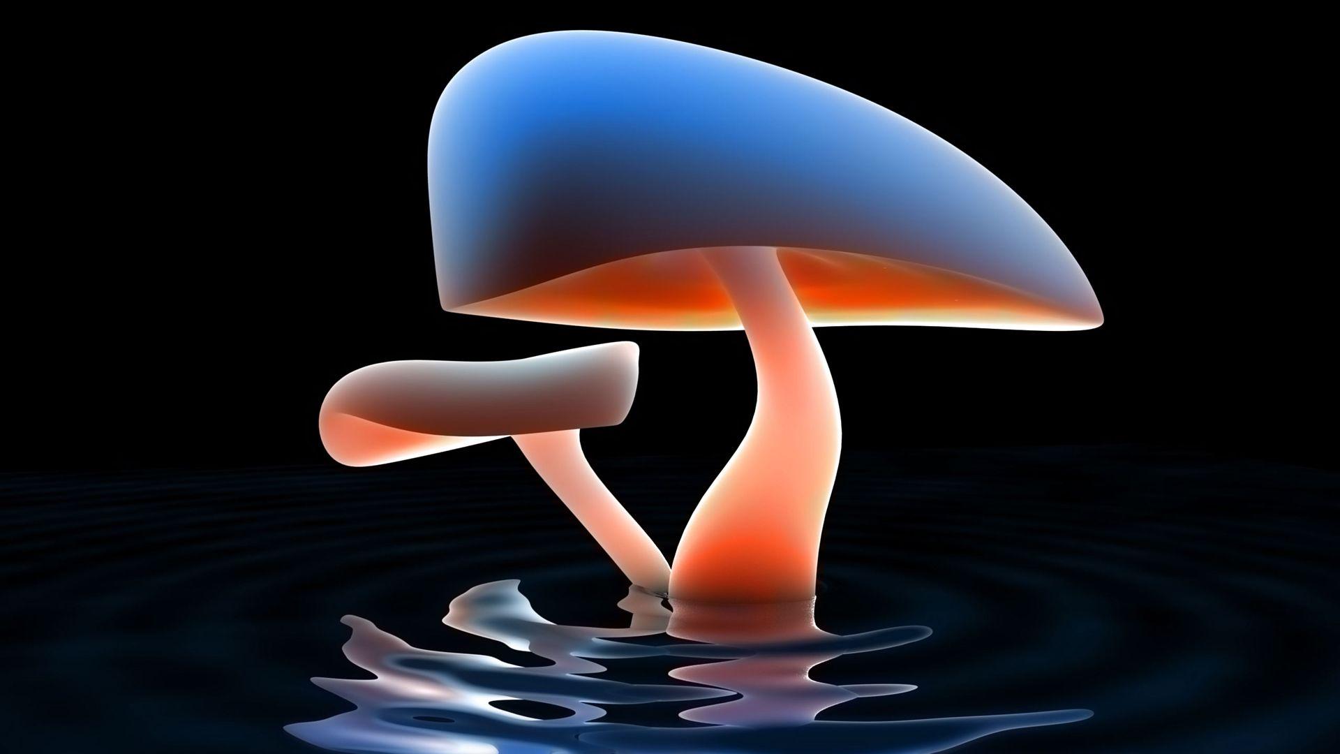 1920x1080 3D Muschrooms HD Wallpaperx1080